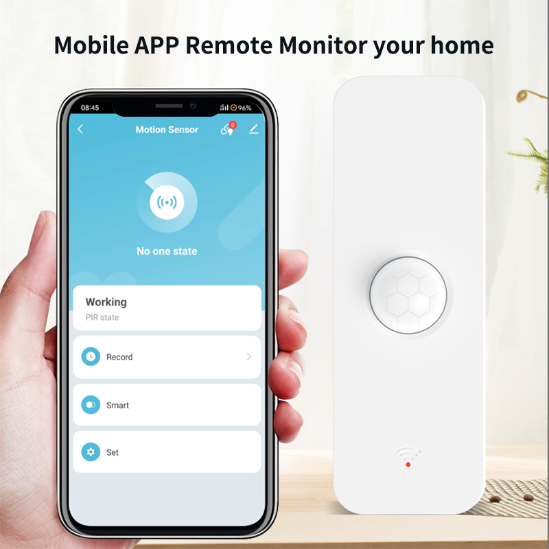 Tuya WiFi Zigbee PIR Motion Se - Smart Home Wiser recension och pris