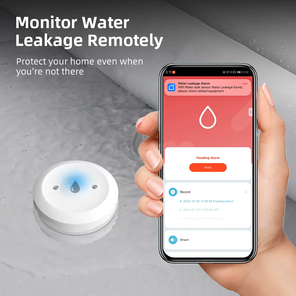 Smart Zigbee Water Leak Sensor - Smart Home Zentrale recension och pris
