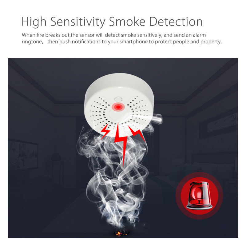 Tuya WiFi Smart Home Smoke Det - Smart Smoke Detector recension och pris