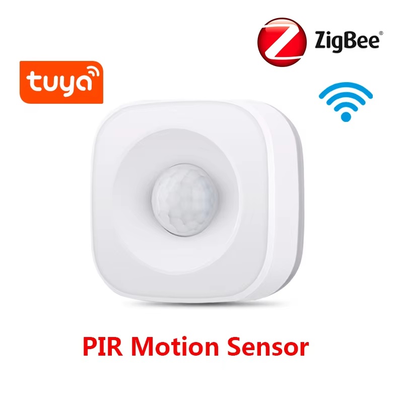 Tuya ZigBee/WiFi PIR Motion Se - Smart Home Wiser recension och pris